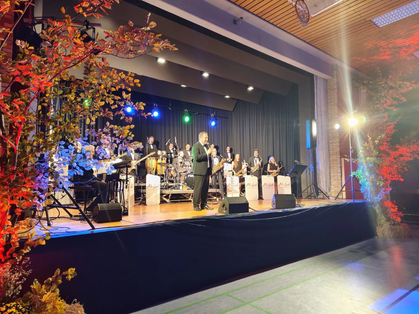Mr Link BigBand